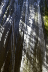detail Waterfall in mountain canyon