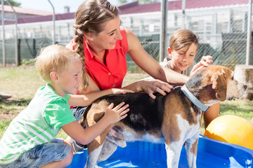 Family washing dog in pool of animal shelter taking care and playing with the animal 