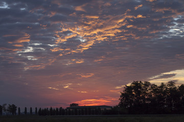 Obraz premium Over the fields and trees a beautiful sunset. Rays of the sun through multicolored cumulus clouds