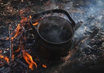 tea on a fire, tea in a teapot, a teapot stands on a fire, a camp kettle