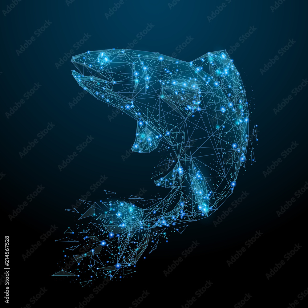 Canvas Prints Abstract image of a fish in the form of a starry sky or space, consisting of points, lines, and shapes in the form of planets, stars and the universe. Salmon vector wireframe