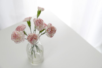Top view of pink and white carnation flowers vase on white table in white room. Flat lay.