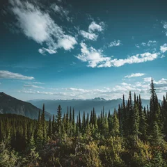  View from Mount Revelstoke across forest with blue sky and clouds. British Columbia Canada. © Mathias