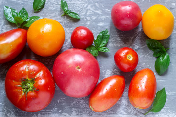 Different kinds of tomatoes and basil leaves on a concrete surface.