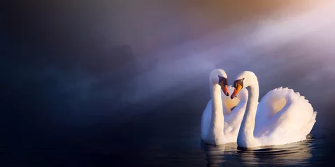 Door stickers Swan Art beautiful romance landscape  love couple white swan