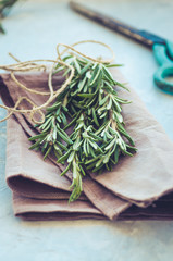 Bunch of fresh rosemary. Rustic style. Toned.