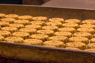 Chip cookies just baked on an oven tray