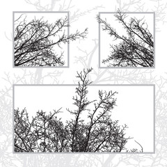Silhouette of bare natural tree branches isolated on white background. Abstract vector monochrome graphics illustration of crossed thin twigs without leaves.
