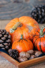 Three pumpkins pine cones and pecan nuts on a wooden background.