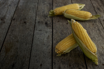 Fresh sweet corn on wooden table