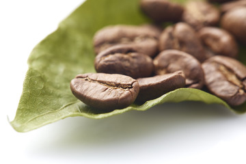 Coffee beans with coffee leaves