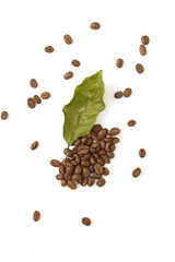 Coffee beans with coffee leaves