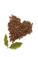 Coffee beans with coffee leaves