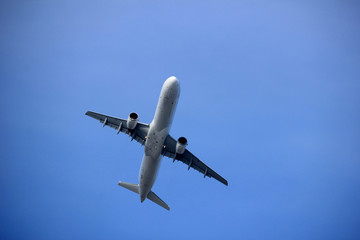 Bottom of an airplane