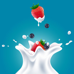 Vector realistic milk splashes with blueberries and red strawberries gradient background