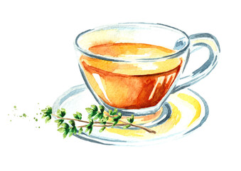 Medicinal herb Thyme. Cup of healthy tea. Infusion made from thyme leaves. Hand drawn watercolor illustration isolated on white background