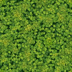 Бесшовная векторная текстура зеленой древесной листвы - obrazy, fototapety, plakaty