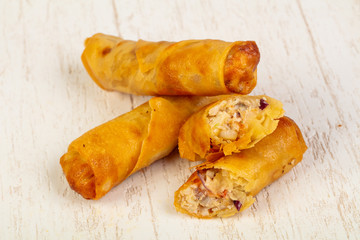 Appetizing spring rolls