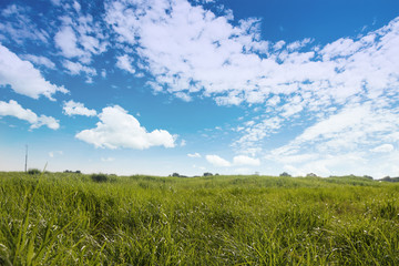 Obraz premium An image of nature consisting of cloudy sky and fields