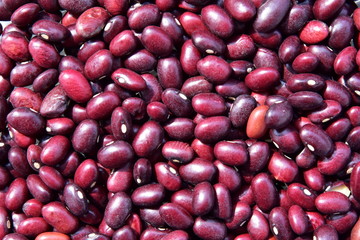 Close up Red beans background, Red beans seeds