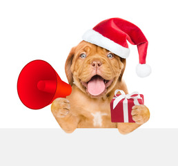 Funny puppy in red christmas hat with a megaphone holds gift box above white banner. isolated on white background