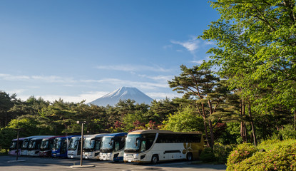 Fuji in the early morning with bus parking foreground in green season