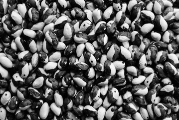 Red and white kidney beans background texture. Vegan and vegetarian photo. Ecological green food.