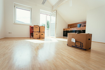 Neue, helle Wohnung mit Umzugskartons, viel Sonnenlicht und Holzboden