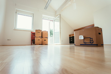 Neue, helle Wohnung mit Umzugskartons, viel Sonnenlicht und Holzboden