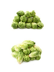 Fototapeta premium Little gem salat isolated