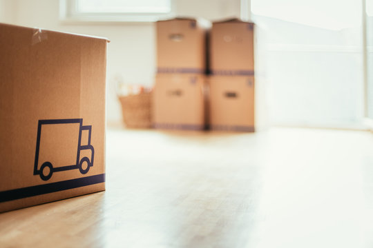 Neue, helle Wohnung mit Umzugskartons, viel Sonnenlicht und Holzboden