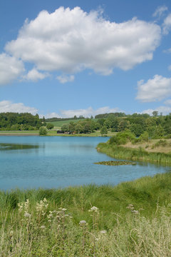 am beliebten Freilinger See in der Eifel nahe Blankenheim,Nordrhein-Westfalen,Deutschland