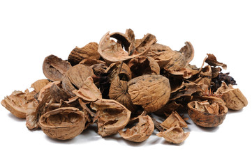 Walnut shell on white background. Front view.