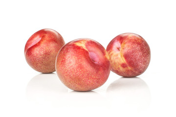 Group of three whole fresh pluot interspecific plums variety isolated on white