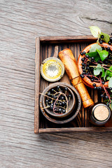 Branch with berries of bird cherry