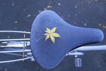 Foto op Canvas A yellow maple leave on frozen bicycle seat during Autumn in Japan. © ilovewinter