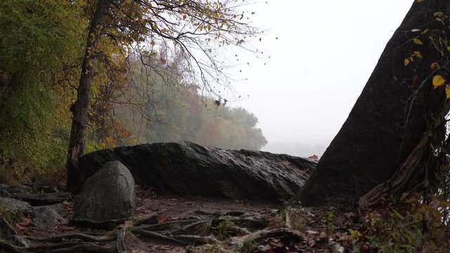 Great Falls Park