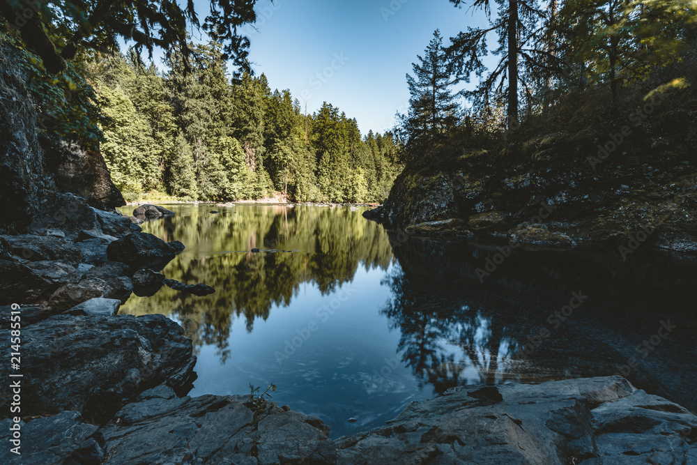 Wall mural river in vancouver island near victoria, canada