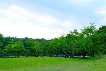 夏　緑　広場
