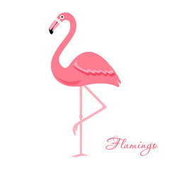 Cartoon flamingo bird. vector illustration