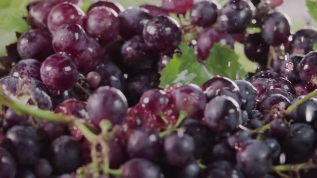 Black grape falling in juice with splash between grapes. Slow motion.