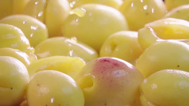 Apricot falling in juice with splash between apricots. Slow motion.