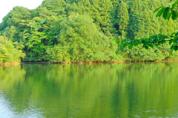 Fototapeta premium 千葉 亀山湖 夏
