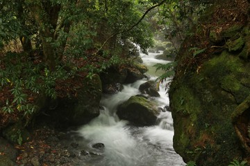 美しい水が流れる山吹水源