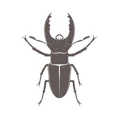 Vintage brown deer beetle emblem. Grunge badge, typogrphic symbol suitable for T-shirts or print. Isolated vector illustration