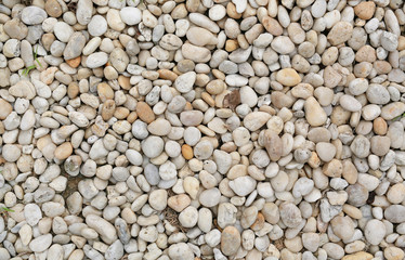 Image of Pebbles background.