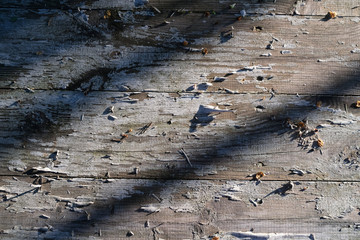 Fototapeta premium rustic wood plank texture background