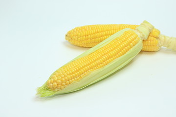 とうもろこし　コーン　野菜