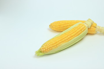 とうもろこし　コーン　野菜