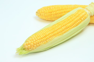 とうもろこし　コーン　野菜